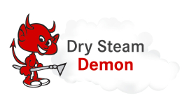 Dry Steam Demon Franchising Ltd Logo